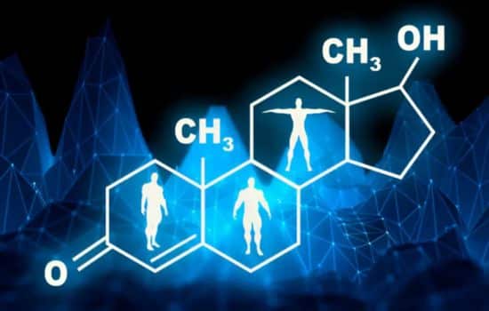 La testosterona: rol, beneficios y los peligros de tener niveles bajos