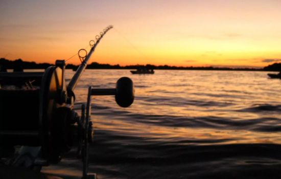 Las Mejores Varas de Pescar del Mundo: Guía Completa